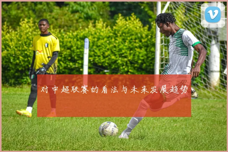 对中超联赛的看法与未来发展趋势